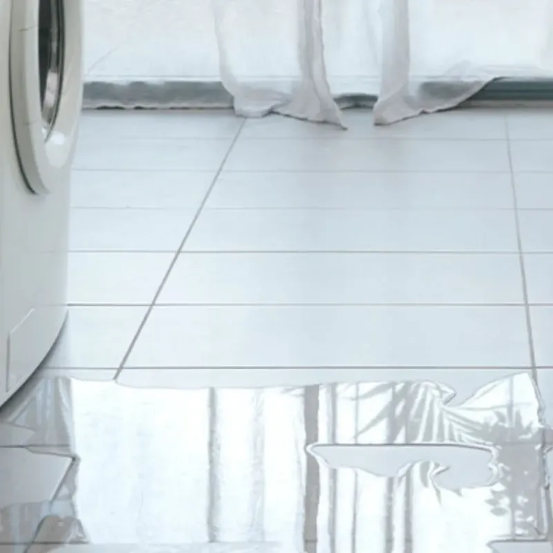Appliance Leak Cleanup in Huguley, AL
