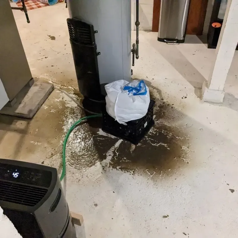 Sewage Backup Cleanup Service in Huguley, AL